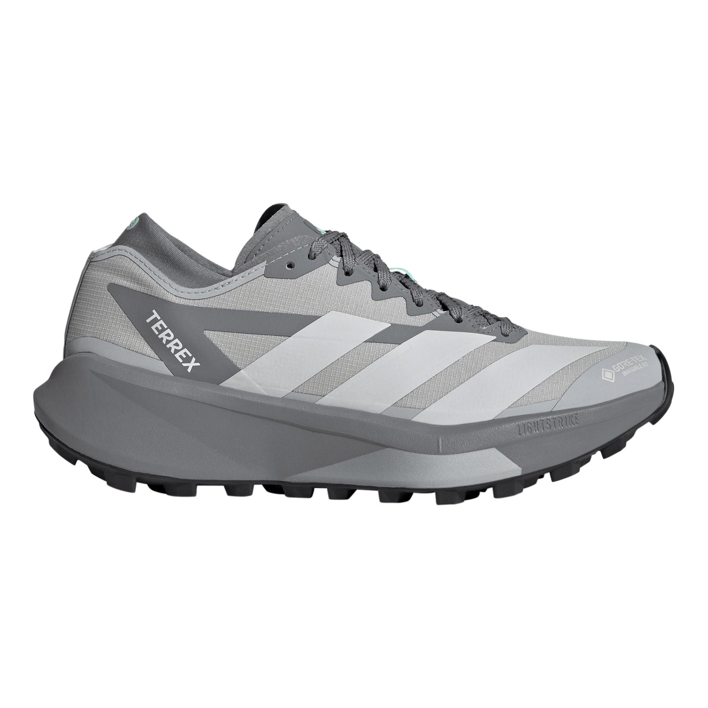 adidas Terrex Agravic GTX 2 Obuv pro měkčí povrch,žádný asfalt Dámy - šedá, šedá