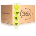 Tenisové Míče HEAD Cs 36er Box