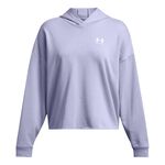 Oblečenie Under Armour Trival Terry OS Hoody