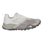 Běžecká Obuv The North Face Offtrail TR GTX