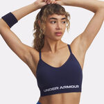 Oblečenie Under Armour Vanish Seamless Low Bra-BLK Sport Bras