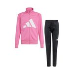 Oblečenie adidas Essentials Climacool Tracksuit
