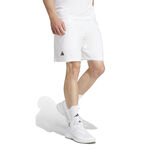 Oblečenie adidas Club 2in1 Shorts