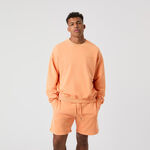 Björn Borg Oblečenie Björn Borg Borg Oversized Washed Mikina Muži-Oranžová