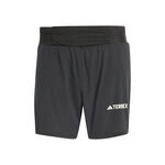 Oblečenie adidas Terrex Pro Short