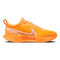 Zoom Court Pro AC