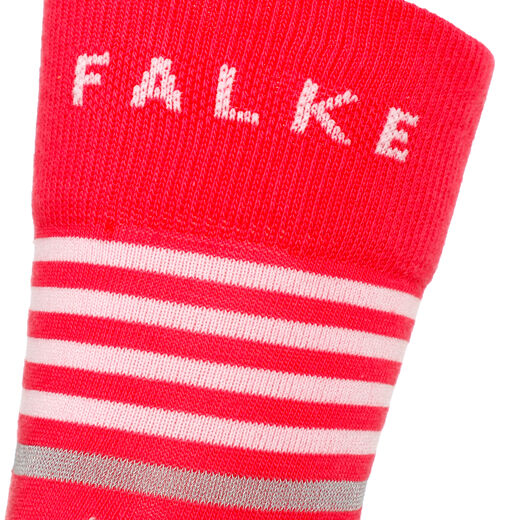 Falke