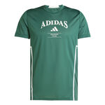 adidas Oblečenie adidas Designed For Training Intense Tričko Muži-Zelená,Bílá