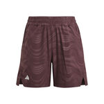 Oblečenie adidas Short Pro