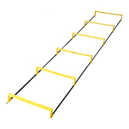 Koordinationsleiter mit Hürde 2m 