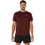 Oblečenie ASICS Core Shortsleeve