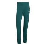 Oblečenie adidas Terrex Xperior Light Pant
