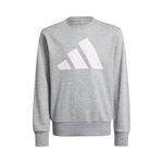 adidas Oblečenie adidas Essentials Mikina Děti-&Scaron;ed&aacute;,B&iacute;l&aacute;