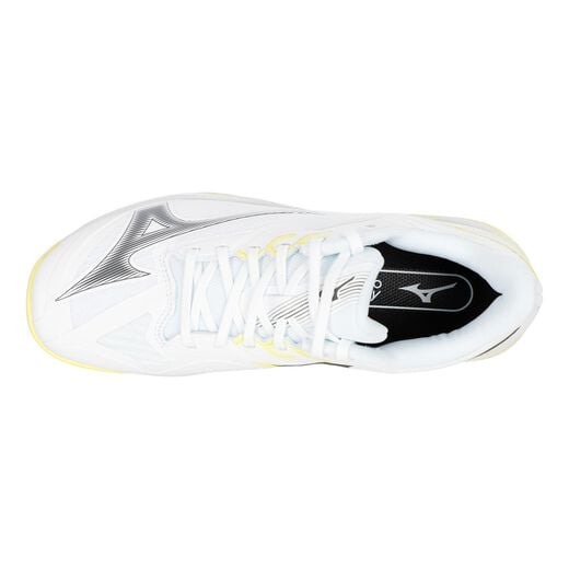 Mizuno