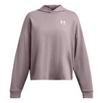 Oblečenie Under Armour Trival Terry OS Hoody