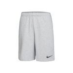 Dri-Fit Shorts