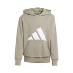 Oblečenie adidas Essentials Hoody