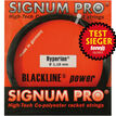 Signum Pro