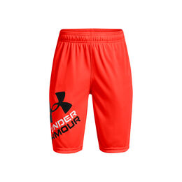 Prototype 2.0 Logo Shorts