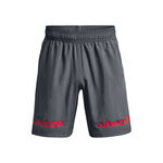 Oblečenie Under Armour Woven Graphic WM Shorts