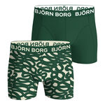 Oblečenie Björn Borg Cotton Stretch Boxer 2P