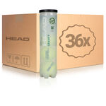 Tenisové Míče HEAD Gravity 36 Dosen im Umkarton