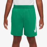 Tenisové Oblečení Nike Dri-Fit Graphic Shorts