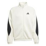 Oblečenie adidas M STADIUM TT
