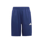 Oblečenie adidas Training Essentials 3 Stripes Shorts