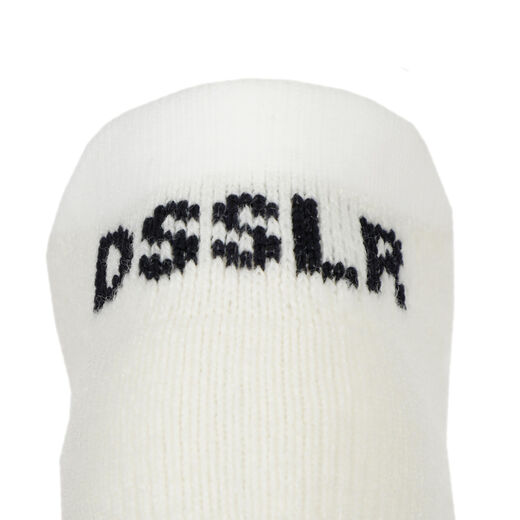 DSSLR