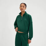 Oblečenie Ellesse Carrera 1/4 Zip