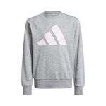 Oblečenie adidas Essentials Sweatshirt