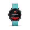 Garmin