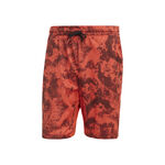 Oblečenie adidas PARIS 2N1 SHORT