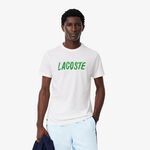 Oblečenie Lacoste T-Shirt