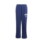 Oblečenie adidas J CLGT FL PNT
