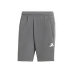 Oblečenie adidas Train Essentials All Set Training Shorts