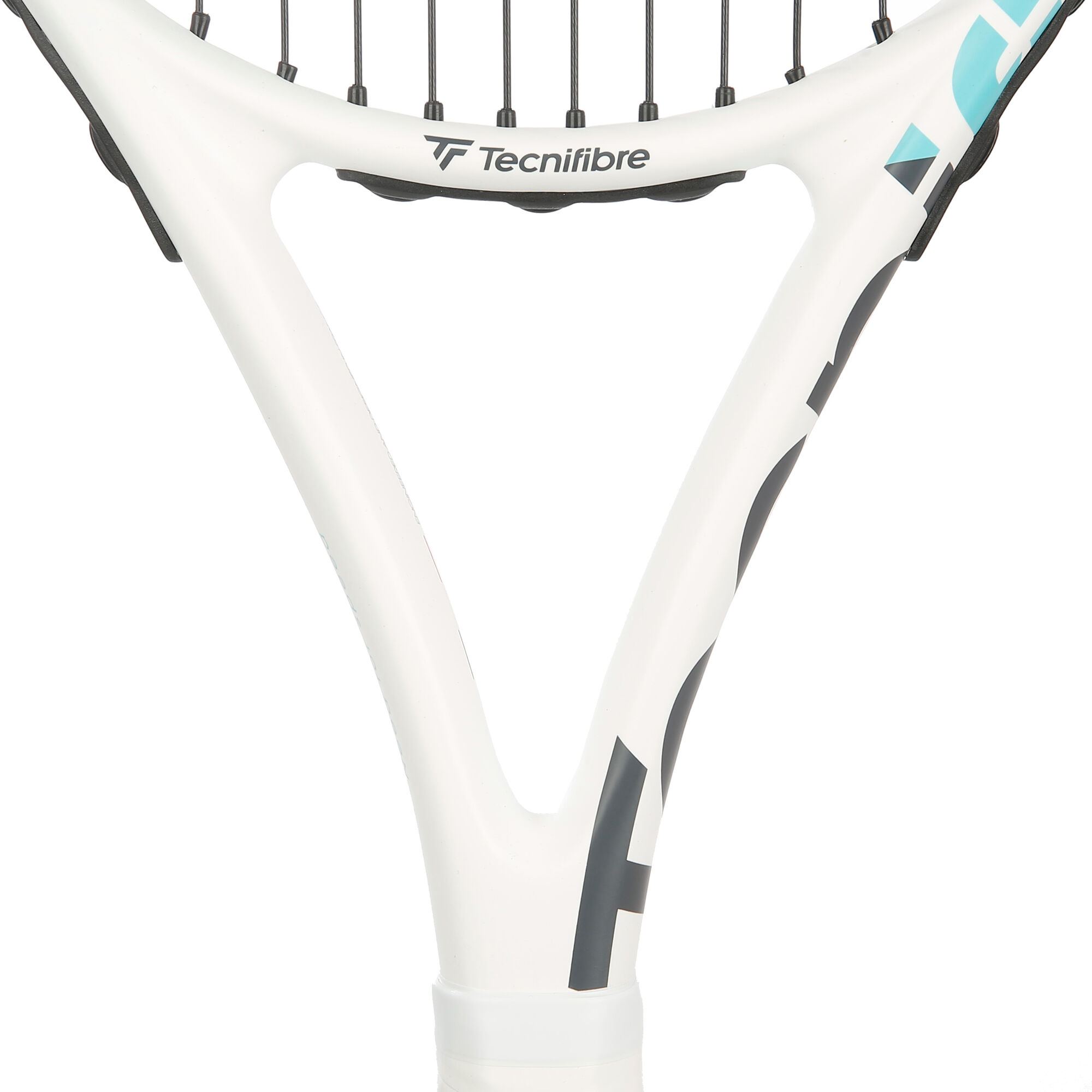 Tecnifibre