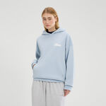 Oblečenie Ellesse Il Tiro Hoody