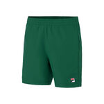 Oblečenie Fila Shorts Leo