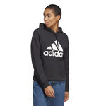 Oblečenie adidas Big Logo Hoody