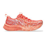 Běžecká Obuv ASICS Noosa Tri 16