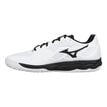 Mizuno