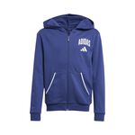 Oblečenie adidas J CLGT FT FZ