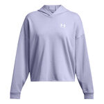 Oblečenie Under Armour Trival Terry OS Hoody