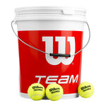 Wilson Tenisové míče Wilson Team W Trainer 72ks Kyblíku Special Edition