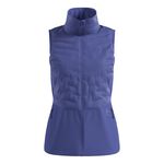 Oblečenie Odlo Zeroweight Insulator Vest