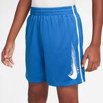 Oblečenie Nike B Nk Df Multi Short Hbr
